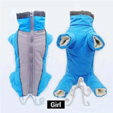 Dog Snowsuit