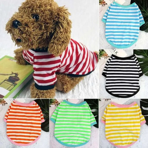 Striped Summer Spring Dog T-shirt