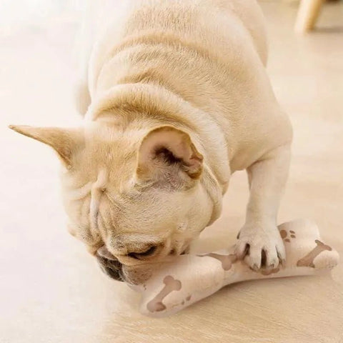 Dog Squeaky Bone Toy