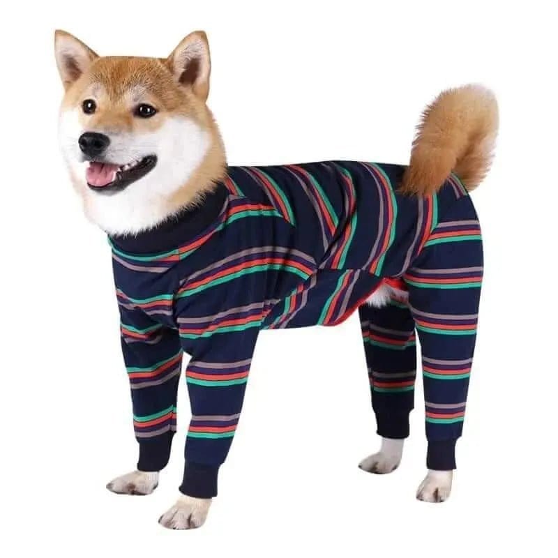 A dog wearing striped pajamas with blue, red, and green lines on a white background.