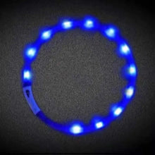 Glowing Dog Collar