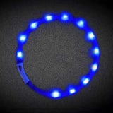 Glowing Dog Collar