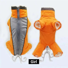 Dog Snowsuit