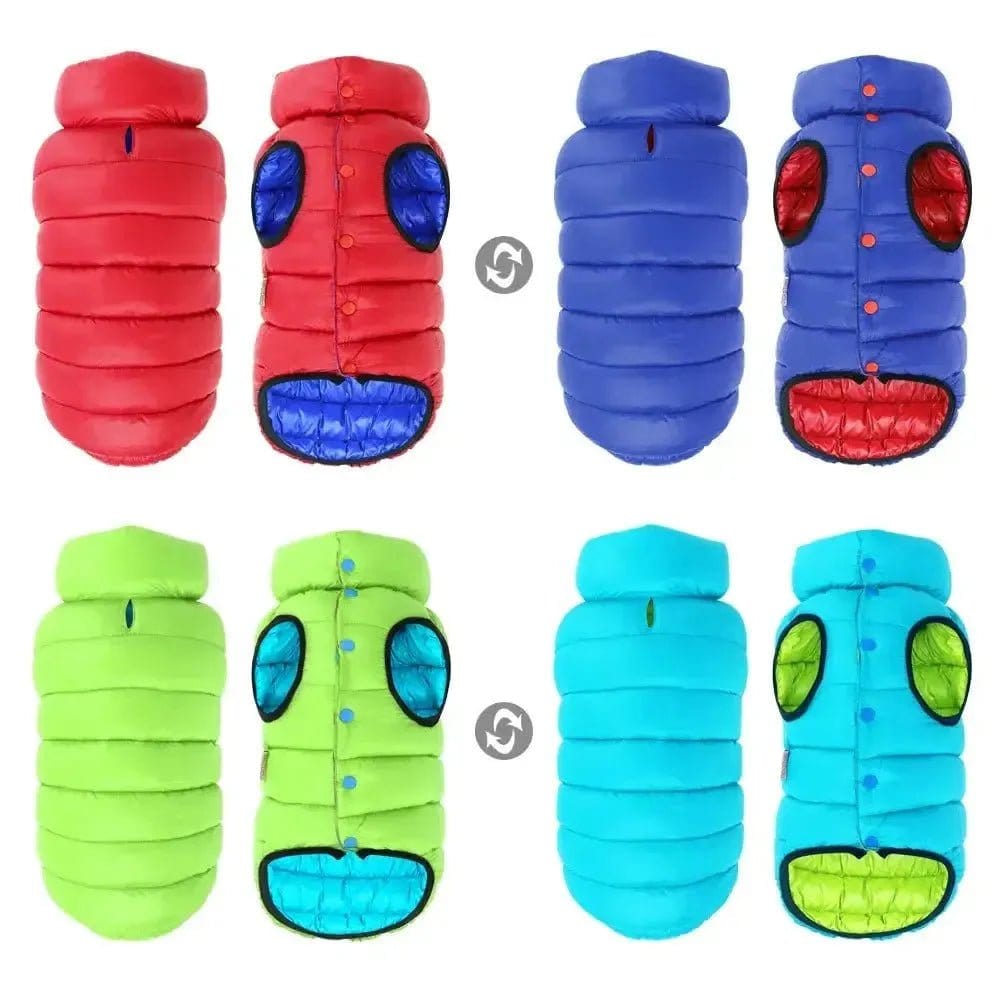 Dog Cold Weather Gear