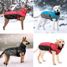 Waterproof Dog Coats for Large Dogs