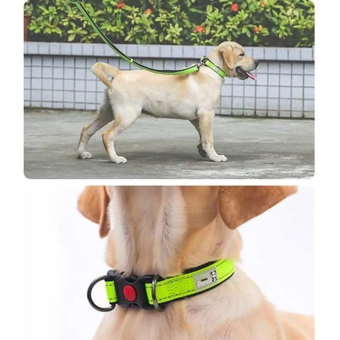 Reflective Dog Collar and Leash Set