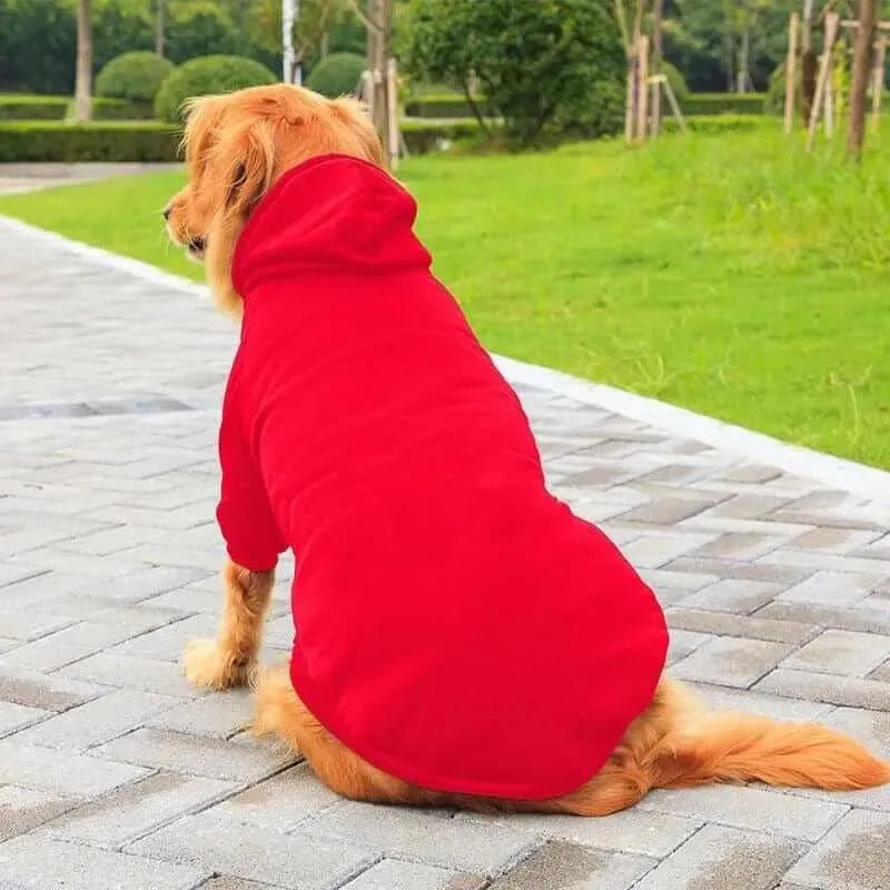 Dog Hoodie