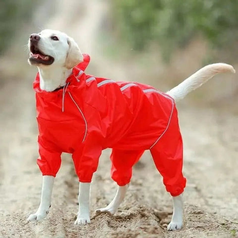 Dog Rain Jacket