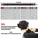 Personalized Dog Collar Free Engraving ID Nameplate Multi Velvet Collar Leash Set