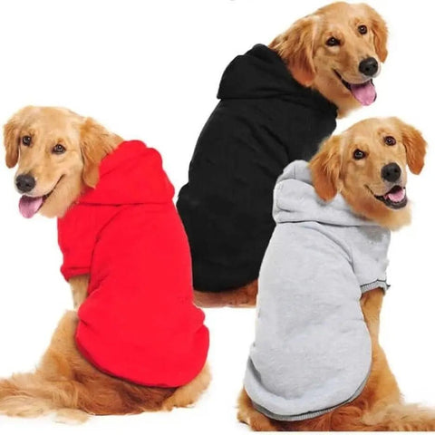 Dog Hoodie