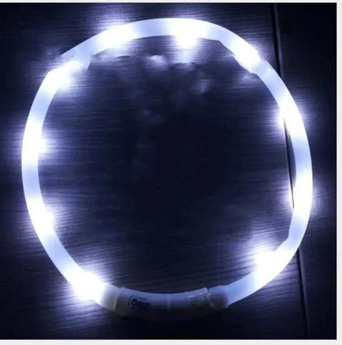 Glowing Dog Collar