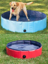 Outdoor Dog Swimming Pool