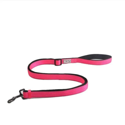 Reflective Dog Collar and Leash Set