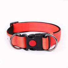 Reflective Dog Collar and Leash Set