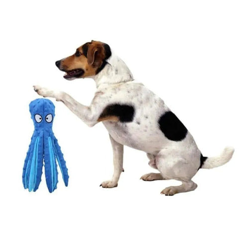 Tough Squeaky Dog Toys