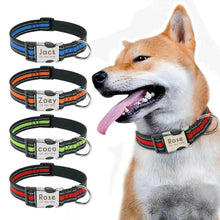 Personalized Nylon Dog Collar