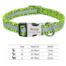 Personalized Nylon Dog Collar