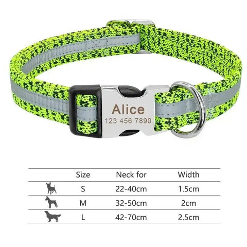 Personalized Nylon Dog Collar