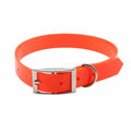 One bright orange plastic dog collar with a silver metal buckle and D-ring on a white background.