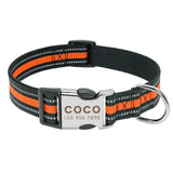 Personalized Nylon Dog Collar