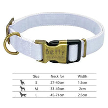 Personalized Nylon Dog Collar