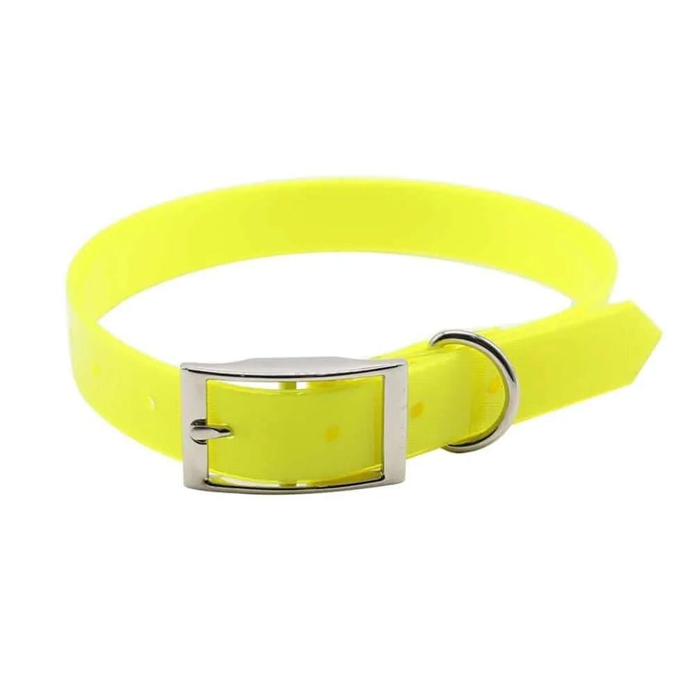 Waterproof Dog Collars