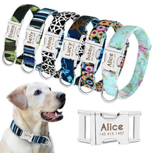 Personalized Nylon Dog Collar