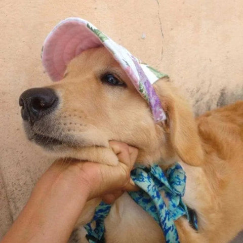 Dog Summer Sun Hat