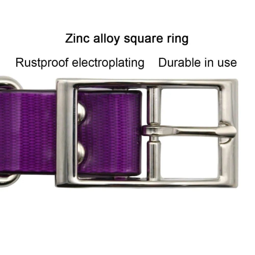 Waterproof Dog Collars