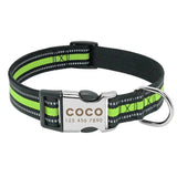 Personalized Nylon Dog Collar