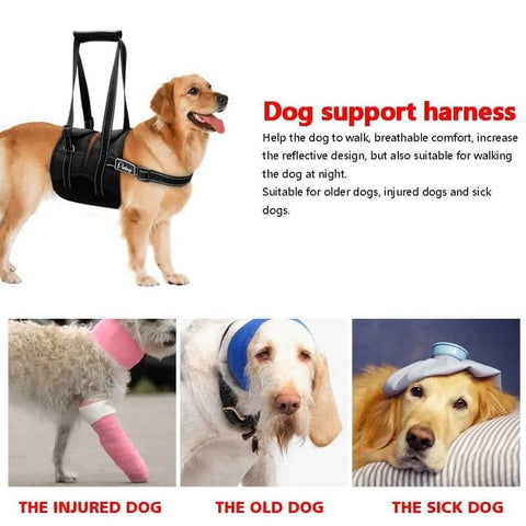 Senior Dog Support Harness