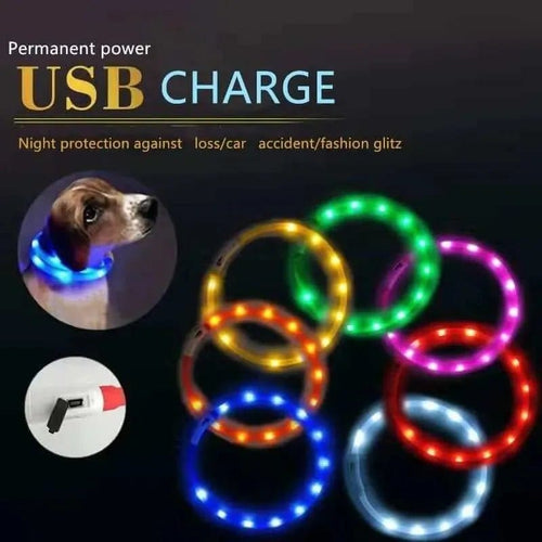 Seven glowing LED dog collars in various colors arranged in a circle next to a dog wearing a blue light-up collar.