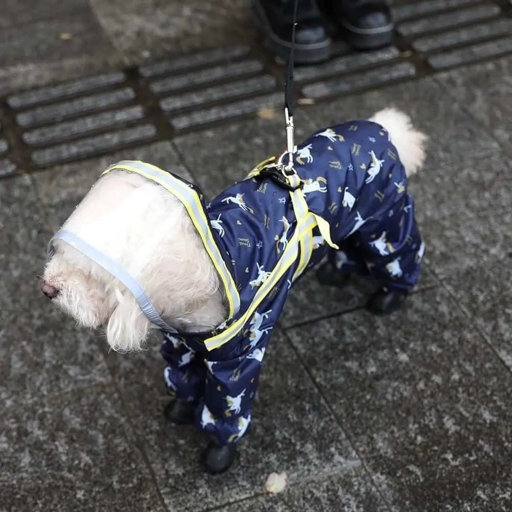Small white dog wearing a navy blue patterned raincoat with reflective yellow straps and a clear hood on a wet sidewalk.