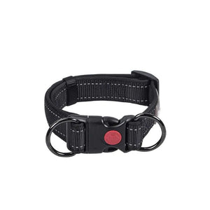 Reflective Dog Collar and Leash Set