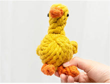 1pcs Bite Resistant Dog Chew Toys for Small Dogs