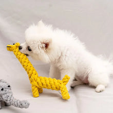 1pcs Bite Resistant Dog Chew Toys for Small Dogs