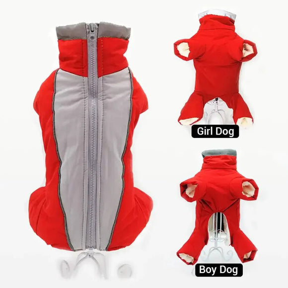 Dog Snowsuit