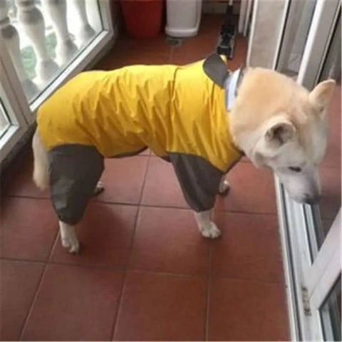 Umbrella raincoat for large dogs