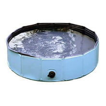 Outdoor Dog Swimming Pool