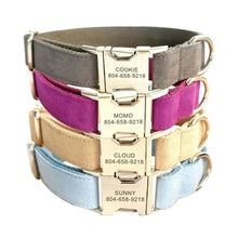 Personalized Dog Collar Free Engraving ID Nameplate Multi Velvet Collar Leash Set