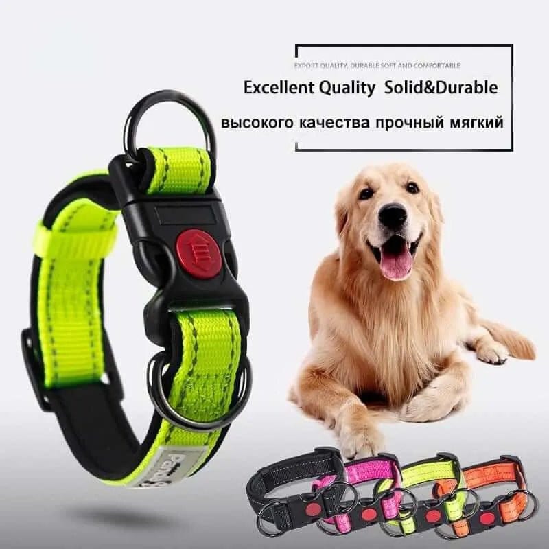 Reflective dog collar and leash set - high-visibility safety collar and leash for night walks - adjustable reflective dog walking set for small medium and large breeds

