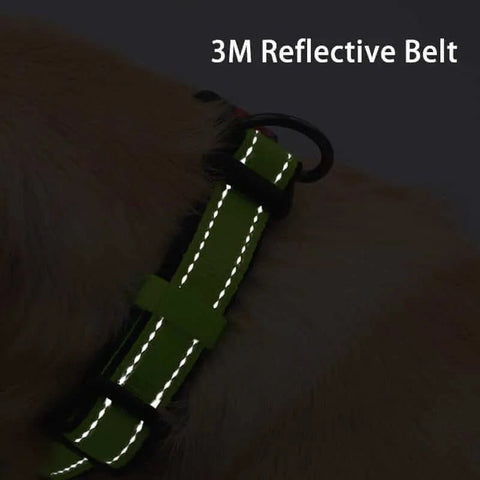 Reflective Dog Collar and Leash Set