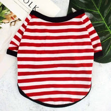 Striped Summer Spring Dog T-shirt