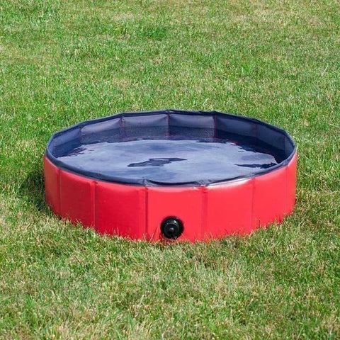 Outdoor Dog Swimming Pool