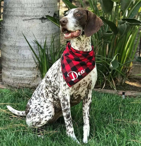 Personalized Plaid Dog Bandana