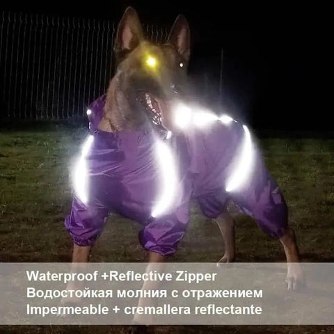 Dog Rain Jacket