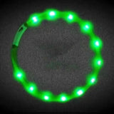 Glowing Dog Collar