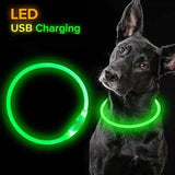 Glow in the Dark Dog Collar