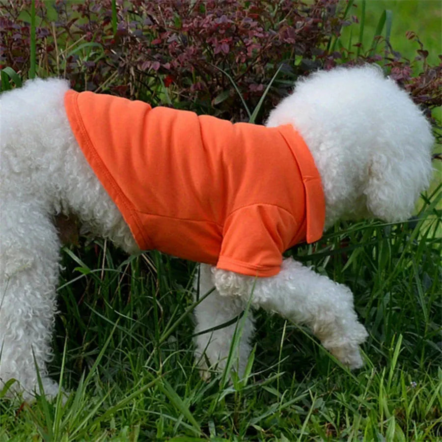Dog Vest T-Shirt | Lightweight Pet Polo for Small Breeds | Hotdiggidydog®