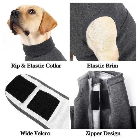 Calming vests for dogs